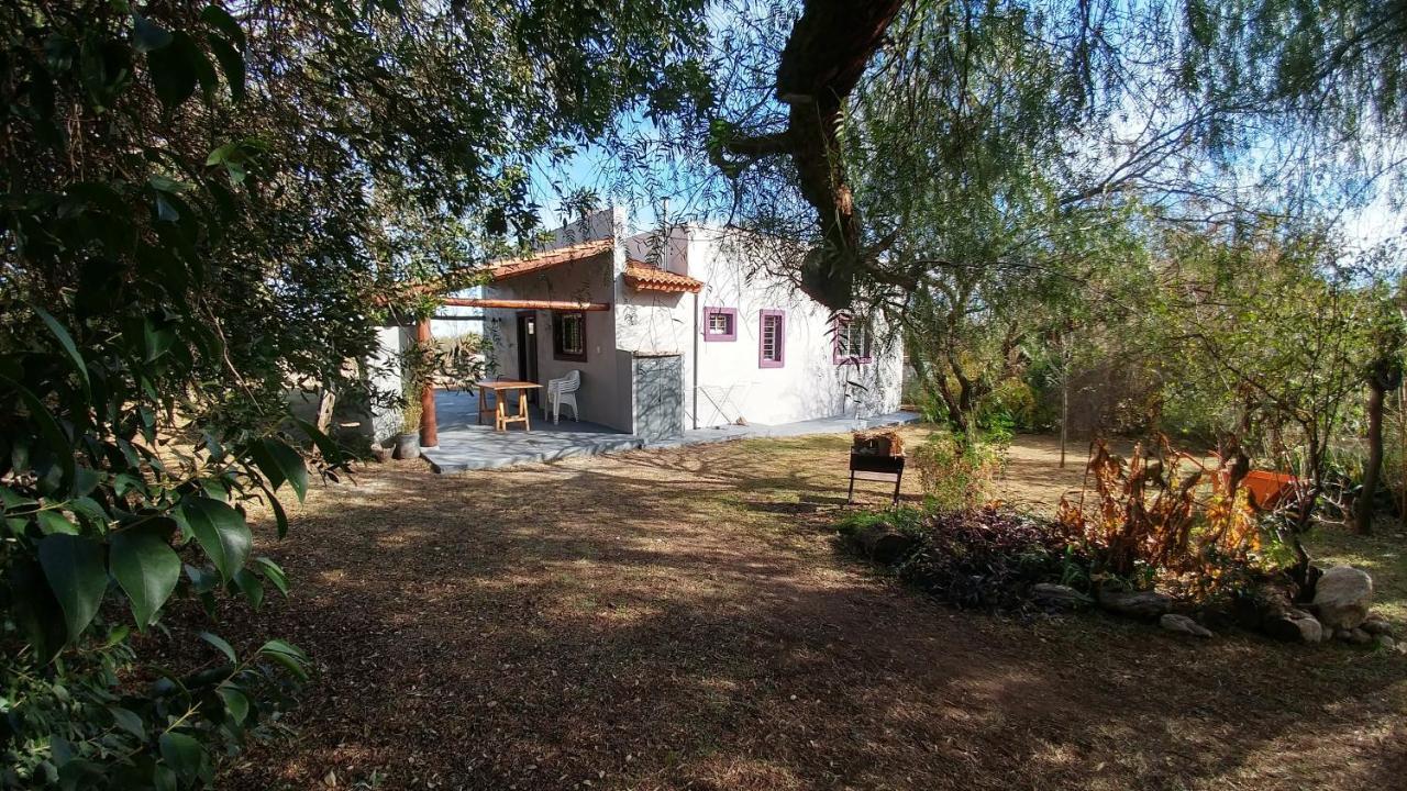 Negusa Villa de Merlo